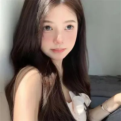 白鹭